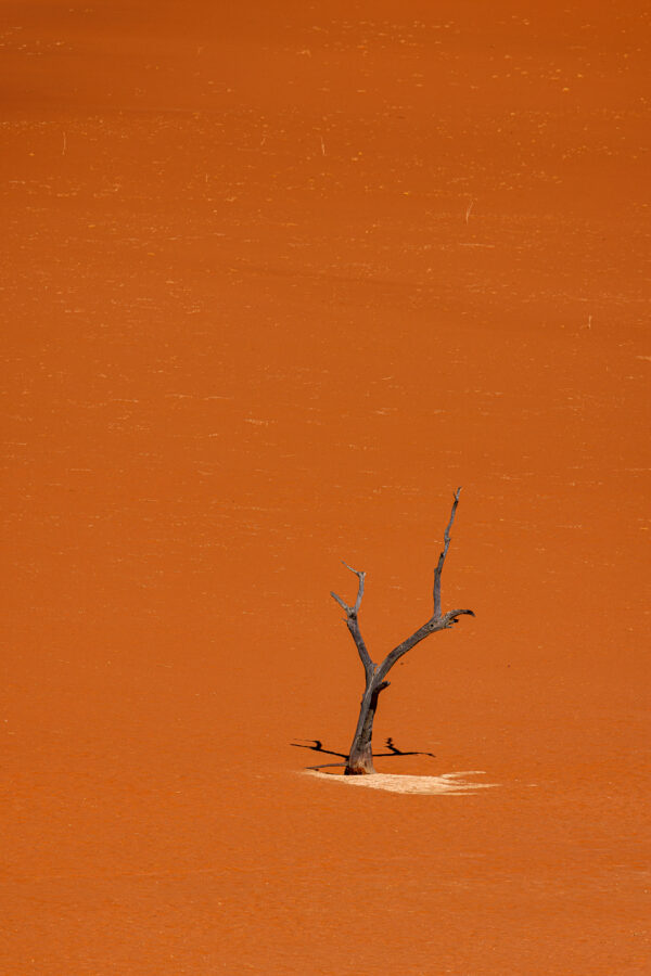 Lonesome