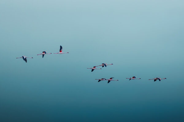 After This Time is Gone