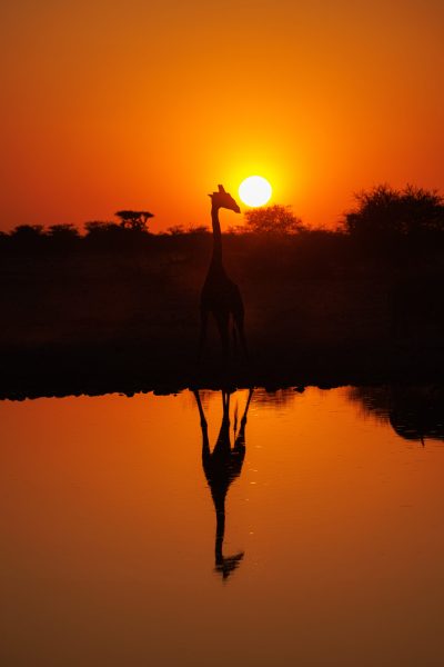Okakuejo Waterhole. Etosha National Park, Namibia